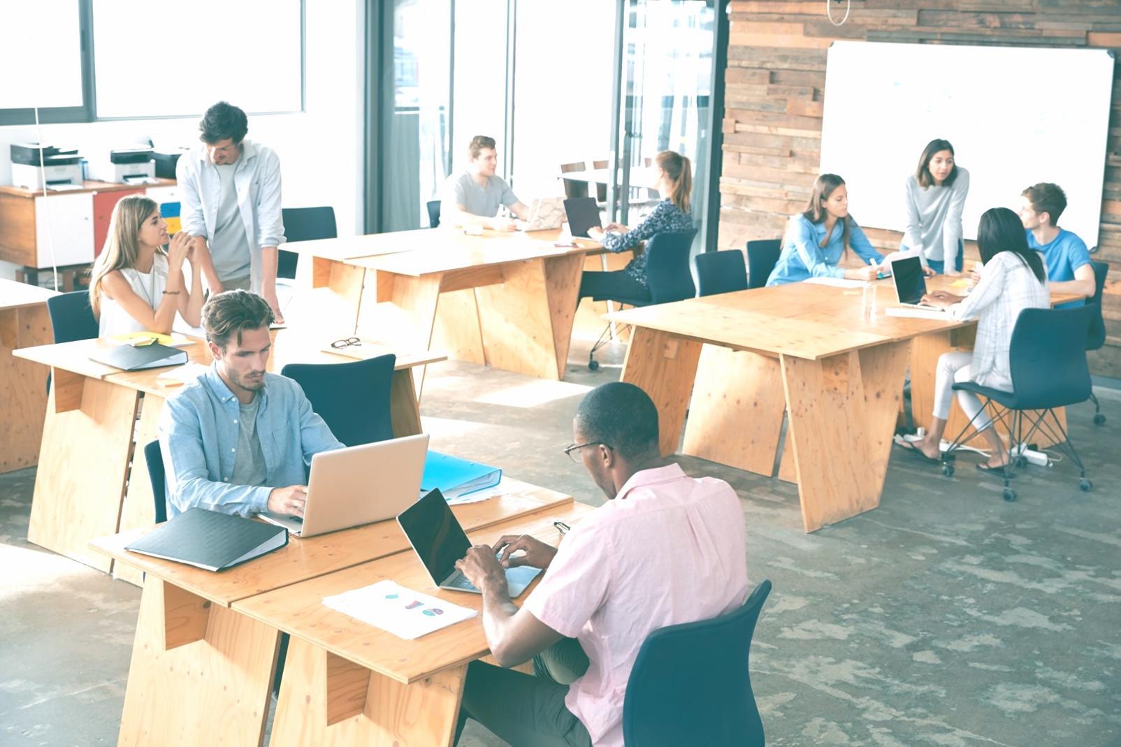 Eğitim programı içeriği ve uygulama alanları